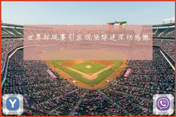 世界杯观赛引发现场球迷深切感慨
