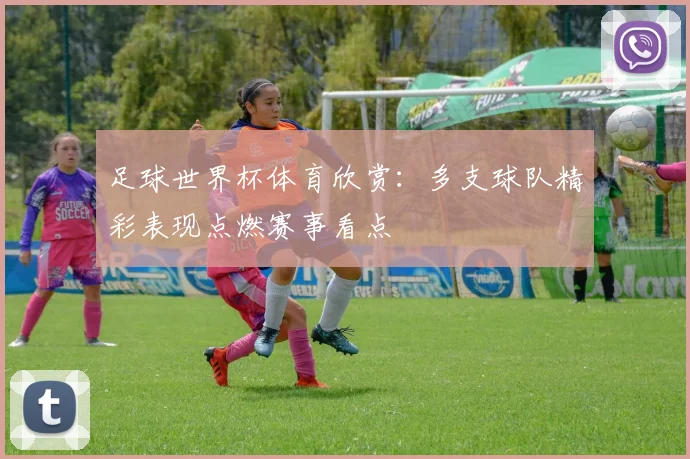 足球世界杯体育欣赏:多支球队精彩表现点燃赛事看点