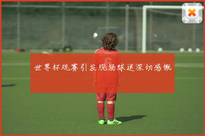 世界杯观赛引发现场球迷深切感慨