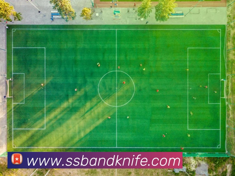 在线买世界杯平台APP 封面图